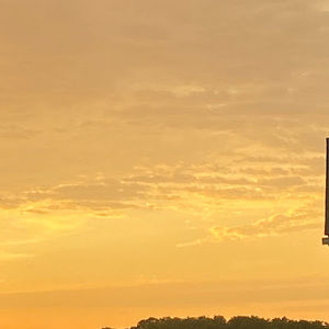 Meet your Posher, Lilly